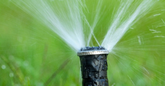 close-up on sprinkler