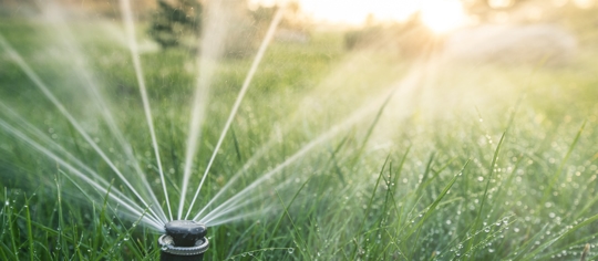 The nozzle of the automatic watering system waters a green lawn.