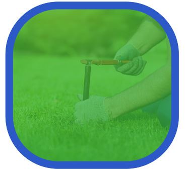 Sprinkler Installation